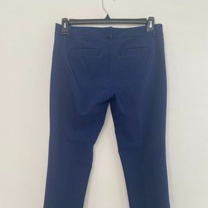 Express 8R Columnist Navy Pant